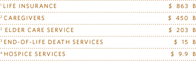 1 Life Insurance&ndash;$ 863 B; 2 Caregivers&ndash;$ 450 B;3 Elder Care Service&ndash;$ 203 B;3 End-of-life Death Services&ndash;$ 15 B;4 Hospice Services&ndash;$ 9.9 B